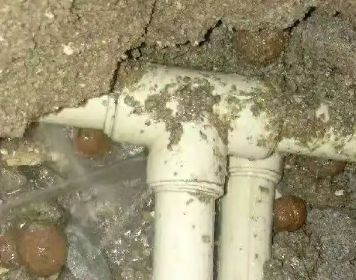 察布查尔锡伯测漏水多少钱