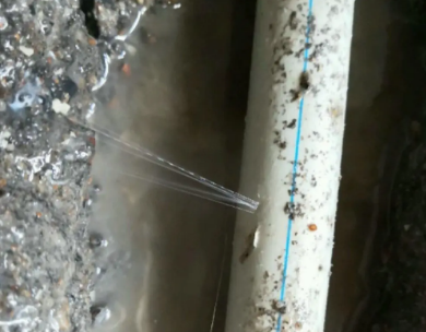 察布查尔锡伯测漏水哪家好