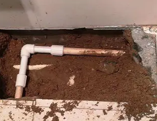 察布查尔锡伯测漏水哪家好