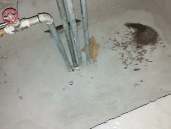 察布查尔锡伯卫生间测漏水价格明细