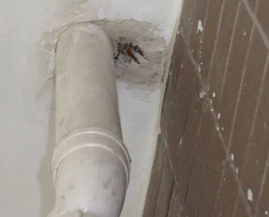 察布查尔锡伯漏水检测哪家好